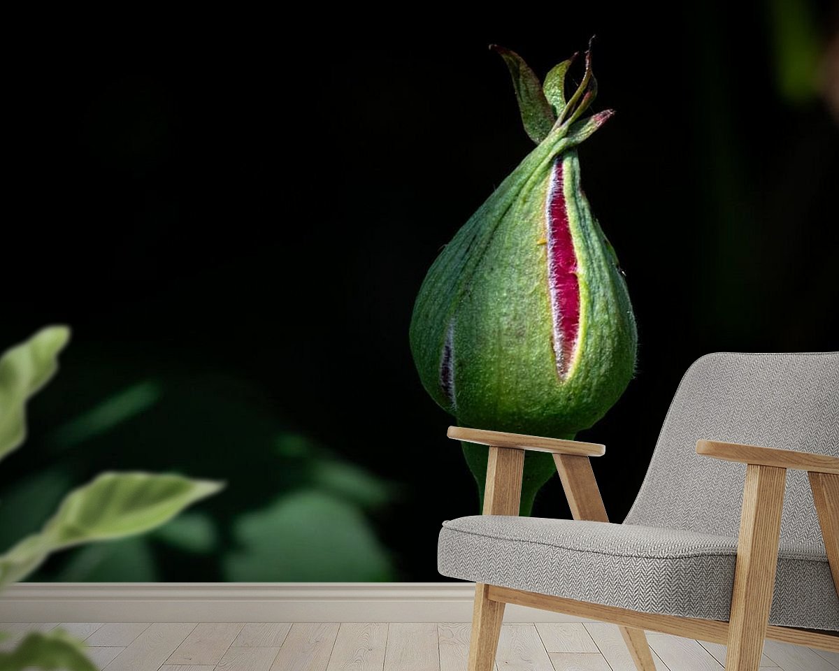 Raumvorschau