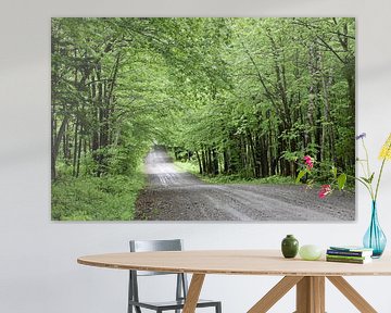 Een landweg in de zomer van Claude Laprise