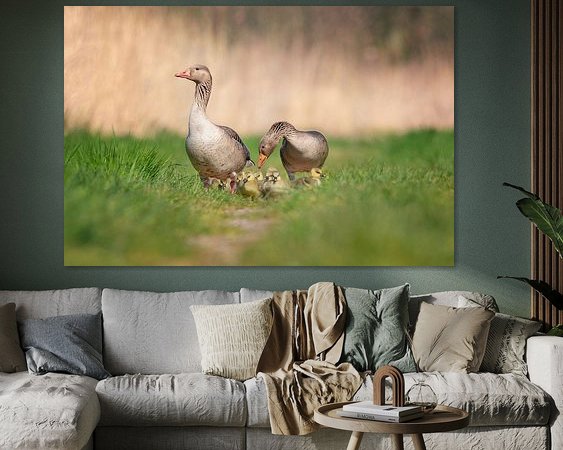 Voorbeeld van het werk in een kamer