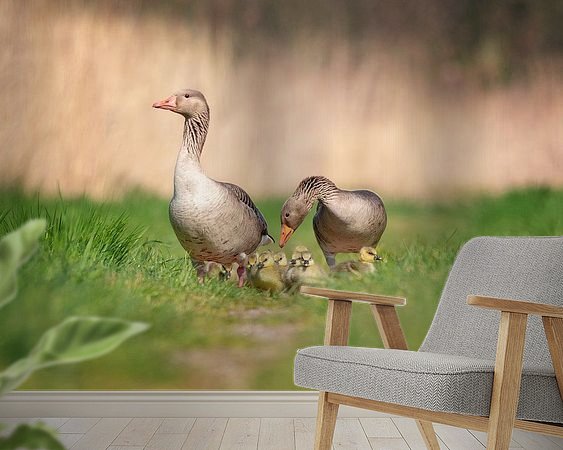 Voorbeeld van het werk in een kamer