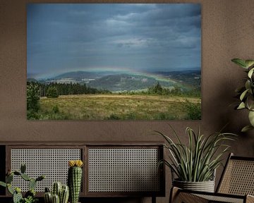 Willingen, Deutschland (Regenbogen) von Rossum-Fotografie