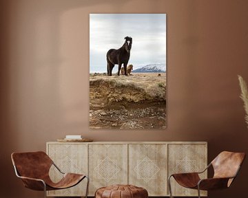 Ponies in Iceland ( portrait version) by Hans Brinkel
