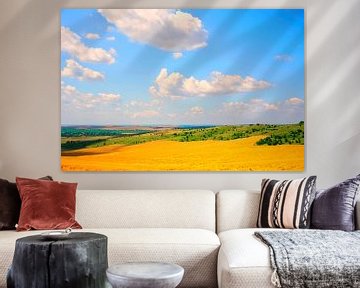 Kleurrijk zomerlandschap met wolken van Mad Dog Art