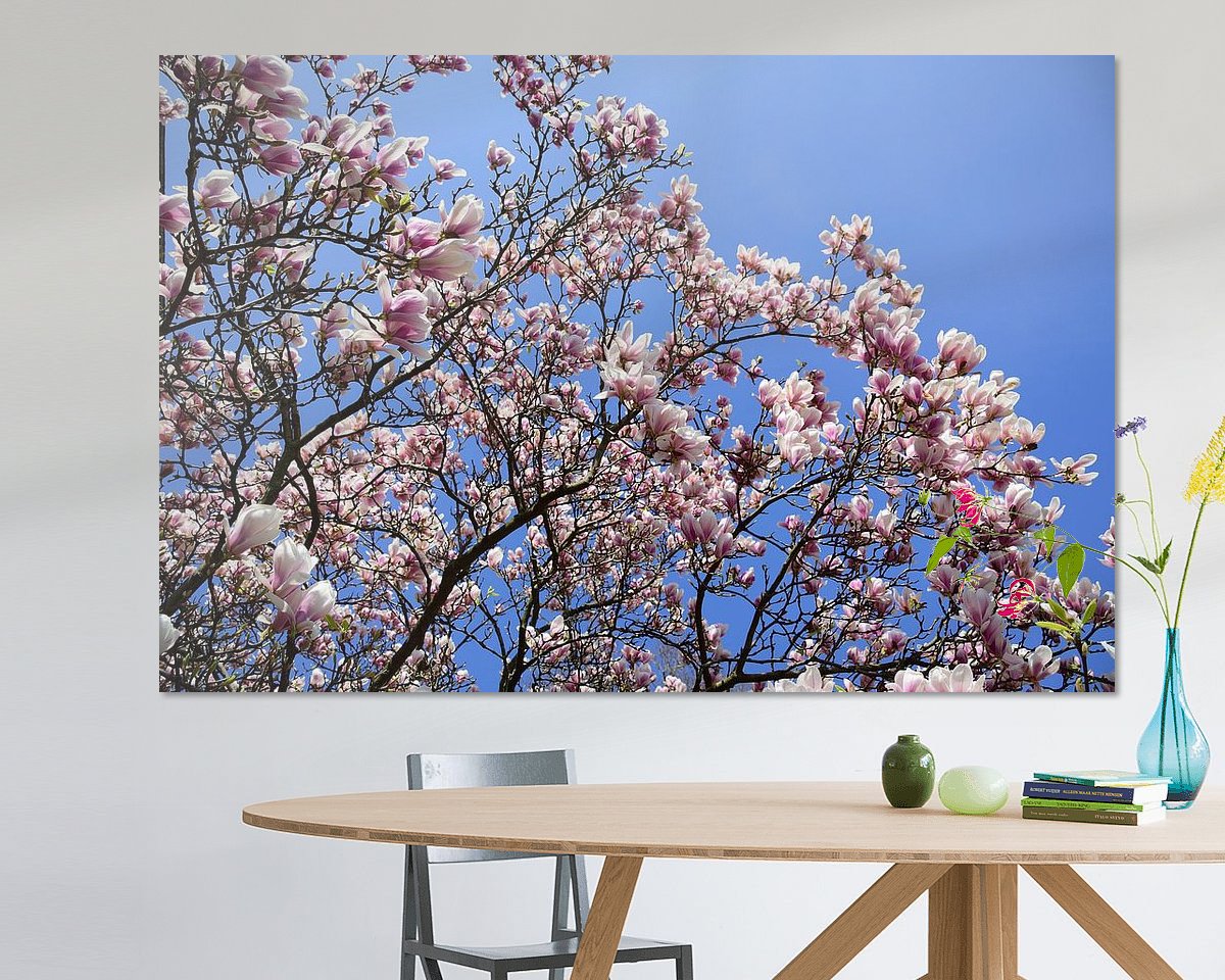 Raumvorschau