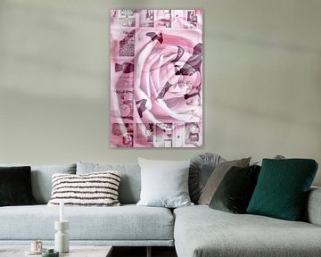 Pink Rose van Sense Photography