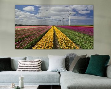 Flowers and Windmills... typical Dutch van BSNF