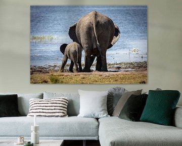 Elephant with young on the waterfront by Anneke Hooijer
