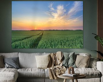 Sunset in the wheat field by Michael Valjak