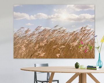 Riet en lucht, Hollands landschap van FotoSynthese