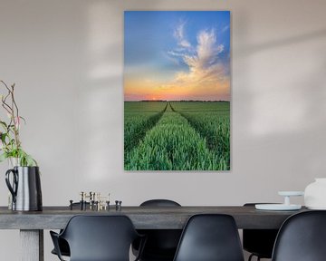 Sunset in the wheat field by Michael Valjak