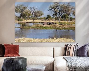 Nijlpaarden in de Okavango Delta van Eddie Meijer