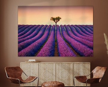 Minimalisme in de Provence. Lavendel en een eenzame boom bij zonsondergang van Stefano Orazzini