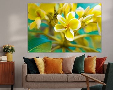 Hawaiian summer with Frangipani flowers by Denise Tiggelman