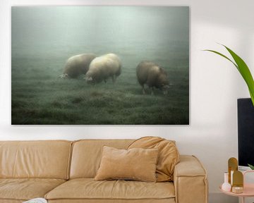 Moutons dans le brouillard sur Arjan van koert