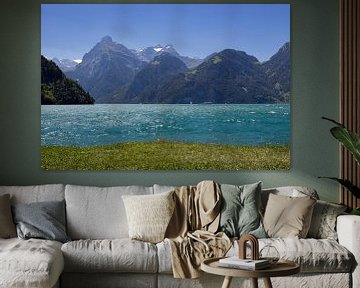 Zomeruitzicht Urnersee, Zwitserland van Imladris Images
