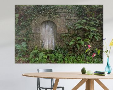 Ferns on old wall with door by Gerben van Buiten