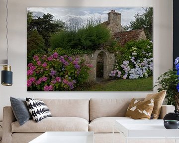 Bloeiende hortensia's bij oude boerderij van Gerben van Buiten