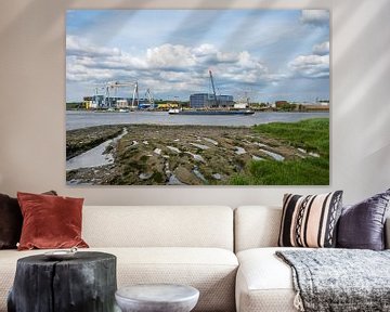 Banks of the River Scheldt by Werner Lerooy