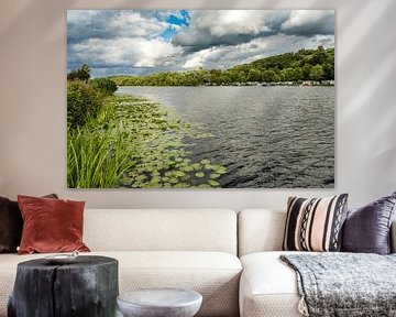 River Ruhr with water lilies by Dieter Walther