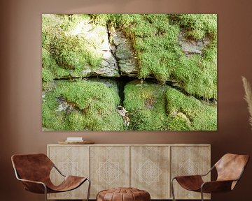 Moss wall by Anjo ten Kate