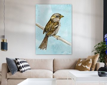 House sparrow coloured ink drawing by Bianca Wisseloo