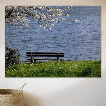 A waterfront bench in spring