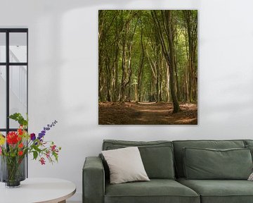 Het Speulderbos van Christiaan De Vries