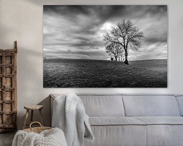 Bomen In Een Bewolkt Landschap van Ronald Massink