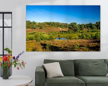 Glooiende Brunssummerheide In De Zomer van Ronald Massink