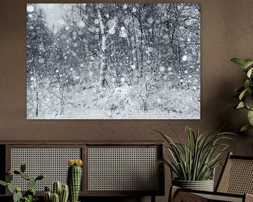 Sneeuwbui in de Hoge Venen van Marcel Ohlenforst