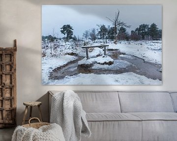 Winter op de Brunssummerheide by Marcel Ohlenforst