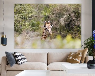 Giraf in het Arusha National Park in Tanzania van Anita Tromp