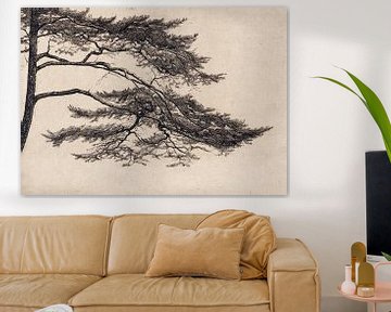 Pine Tree Branch no. 1 by Apolo Prints