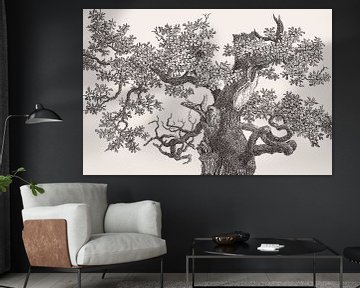 Oak Tree Top Drawing by Apolo Prints