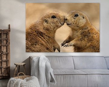 Prariehondjes, love is in the air sur Jeroen van Deel