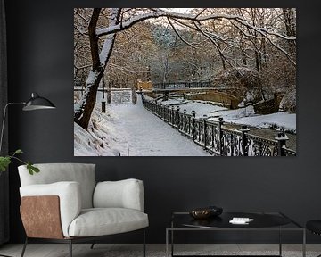 Winter landscape in park.