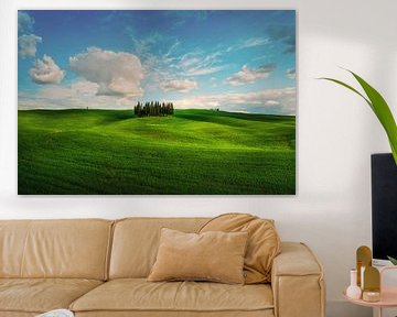 The famous cypresses of San Quirico d'Orcia. Tuscany by Stefano Orazzini