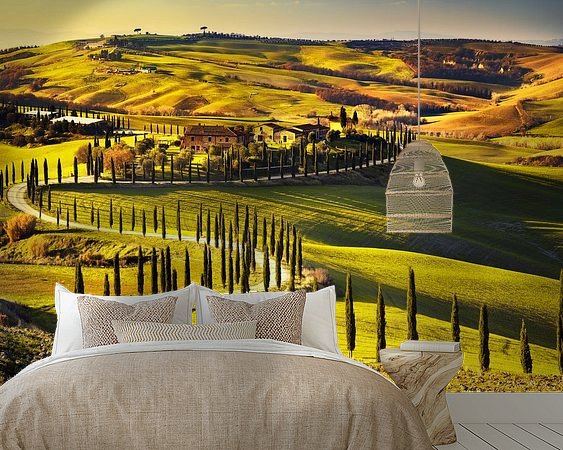 Aperçu de la chambre