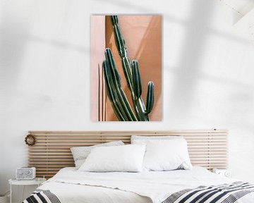 Groene cactus tegen roze muur | reisfotografie in Marokko van Studio Rood