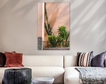 Groene cactus en planten tegen roze muur | reisfotografie in Marokko van Studio Rood