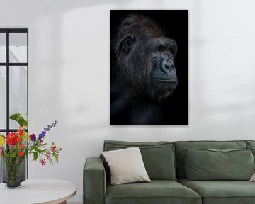 Zeer indringend portret van een gorilla dame