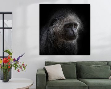 Een franjeaap portret met donkere achtergrond (vierkant model) van Ron Meijer Photo-Art