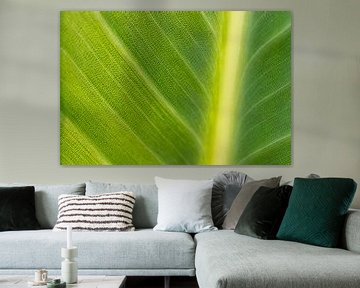 Leaf grain | fine art nature photo