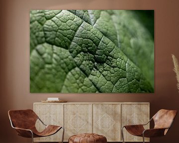 grünes Blatt | Fine Art Natur Foto von Karijn | Fine art Natuur en Reis Fotografie