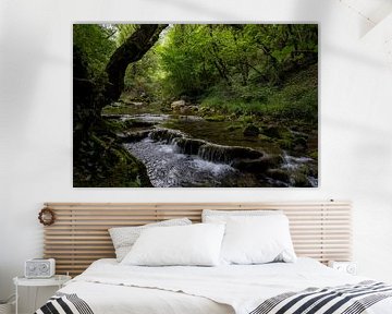 Fast-flowing stream in forests in northern Spain by Rick Van der Poorten