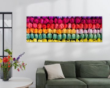 Natuurlijke Schoonheid: Tulpen Regenboog op Canvas van Surreal Media