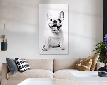 Schattige Puppy Bulldog - Minimalistische Kunst von Surreal Media