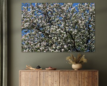 blossomtree van Yvonne Blokland