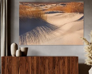 Strand auf der Insel Schiermonnikoog im Wattenmeer