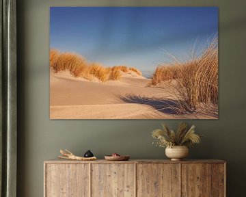 Plage de l'île Schiermonnikoog dans la mer des Wadden